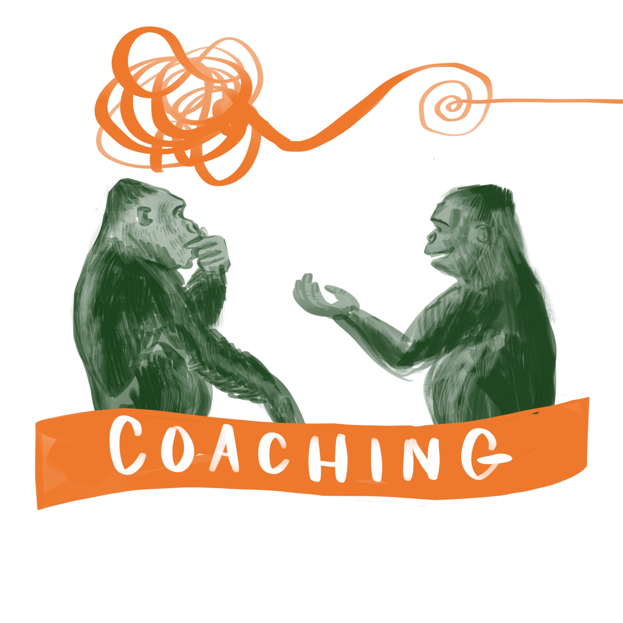 Coaching